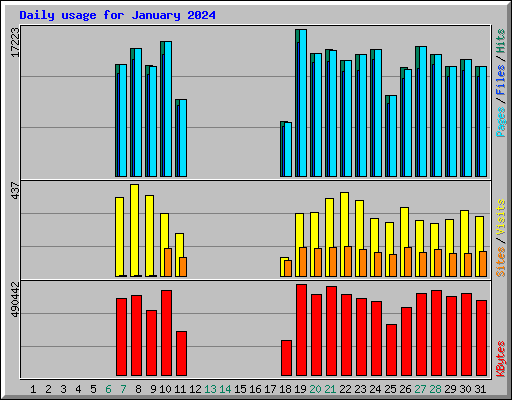 Daily usage for January 2024