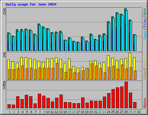 Daily usage for June 2024