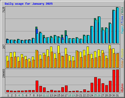 Daily usage for January 2025
