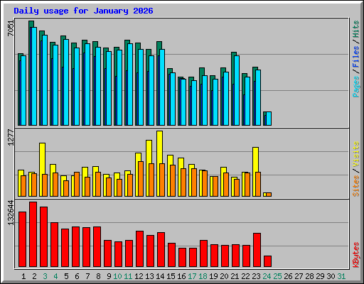 Daily usage for January 2026
