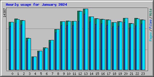 Hourly usage for January 2024