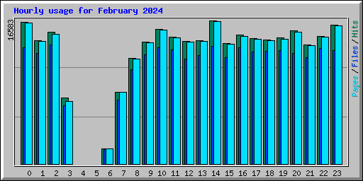 Hourly usage for February 2024