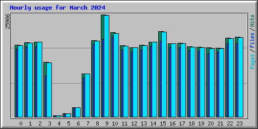 Hourly usage for March 2024