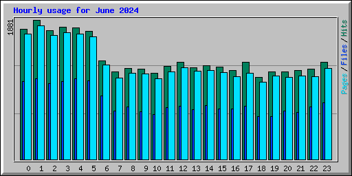 Hourly usage for June 2024