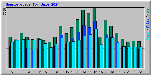 Hourly usage for July 2024