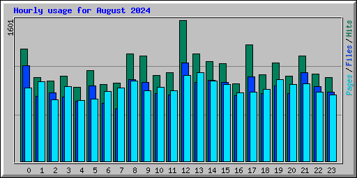 Hourly usage for August 2024