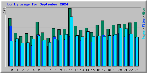 Hourly usage for September 2024