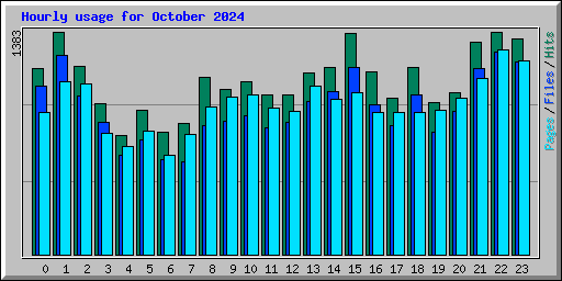 Hourly usage for October 2024