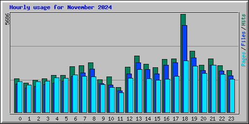 Hourly usage for November 2024