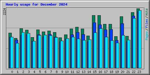 Hourly usage for December 2024