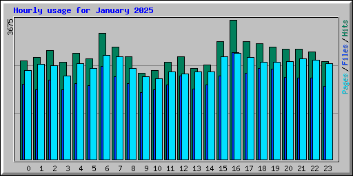 Hourly usage for January 2025