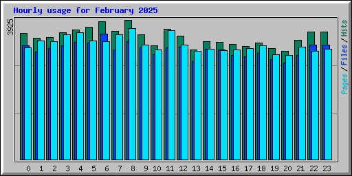 Hourly usage for February 2025