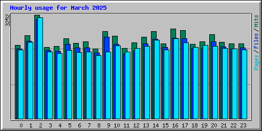 Hourly usage for March 2025