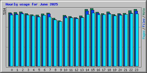 Hourly usage for June 2025