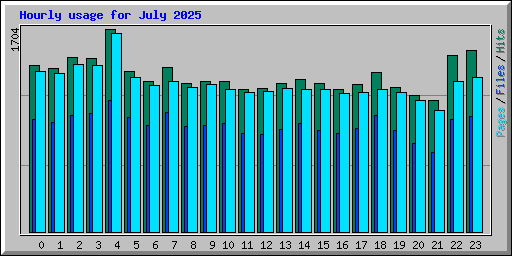 Hourly usage for July 2025