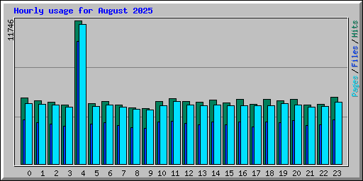Hourly usage for August 2025