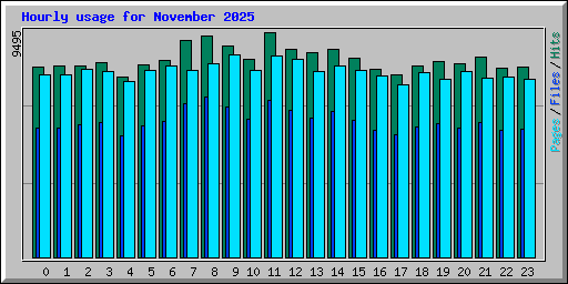 Hourly usage for November 2025