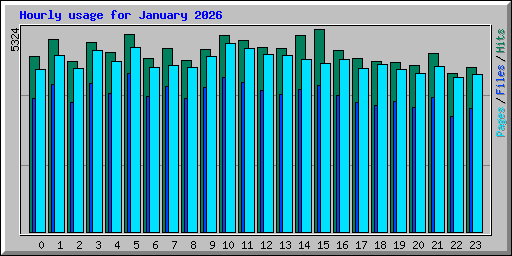 Hourly usage for January 2026