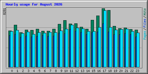 Hourly usage for August 2026