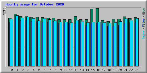 Hourly usage for October 2026